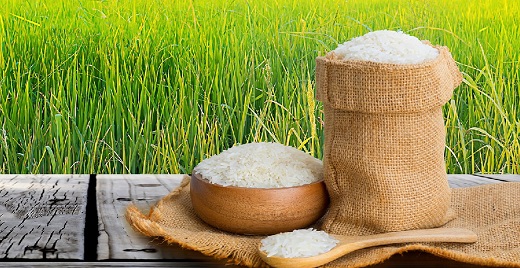 RICE